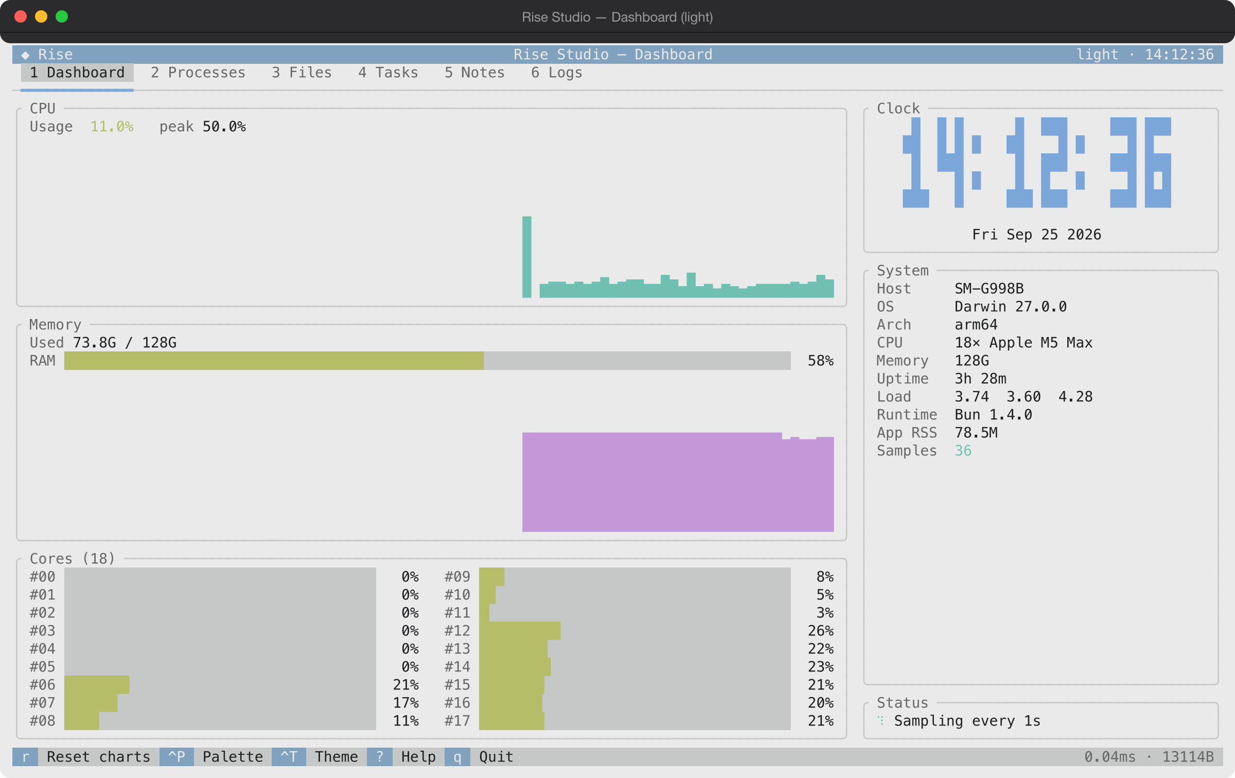 Rise Studio's dashboard in the Light theme